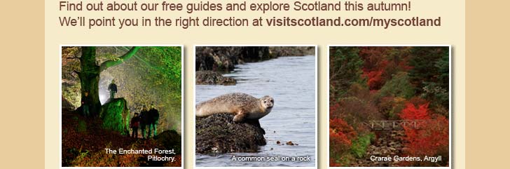 Find out about our free guides and explore Scotland this autumn!